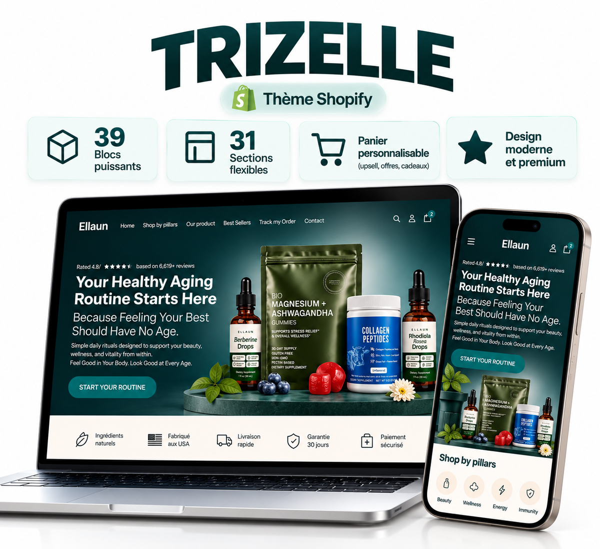 Theme Trizelle V1